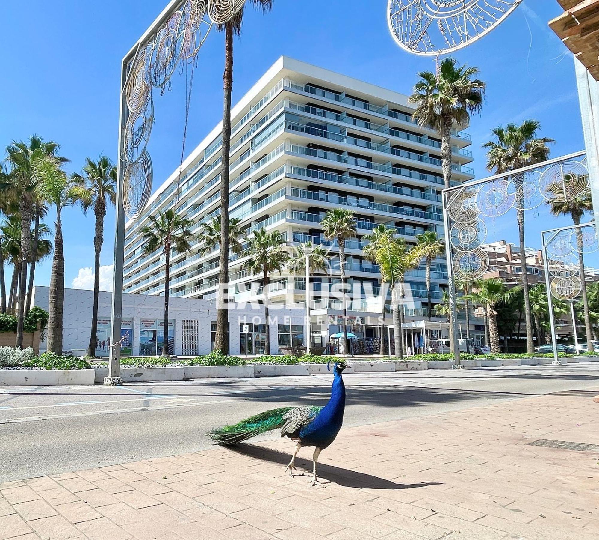 Apartamento Albamarina, 1ªlinea, Magic World, Vistas Al Mar! Oropesa del Mar Exterior photo